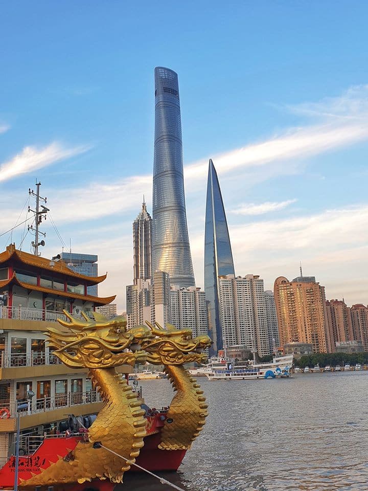 shanghai pudong dragon